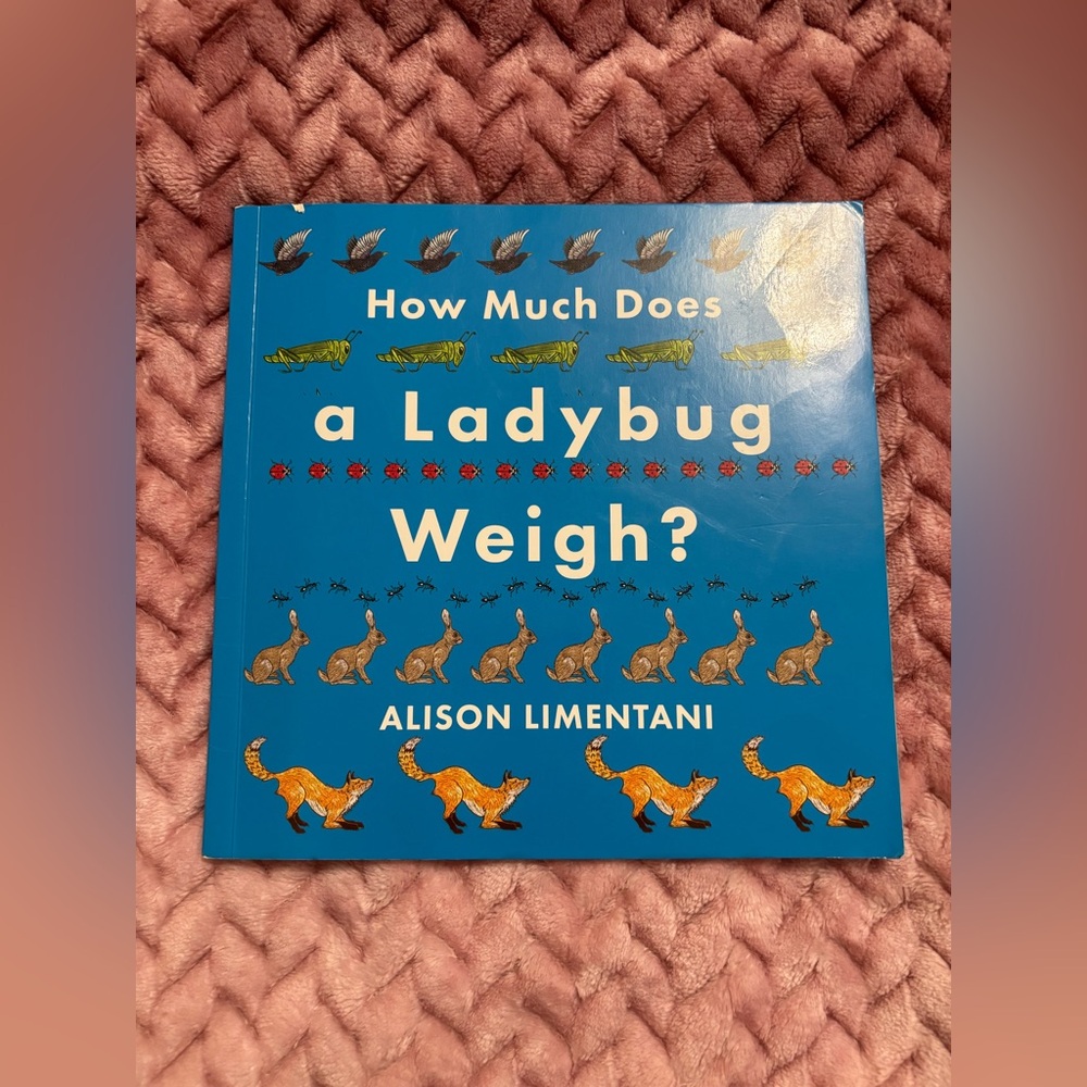How Much Does a Ladybug Weigh? Children’s Pre loved soft cover book